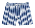 Men's Blue Vertical Stripe Swim Shorts