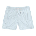 Men's Striped Swim Shorts